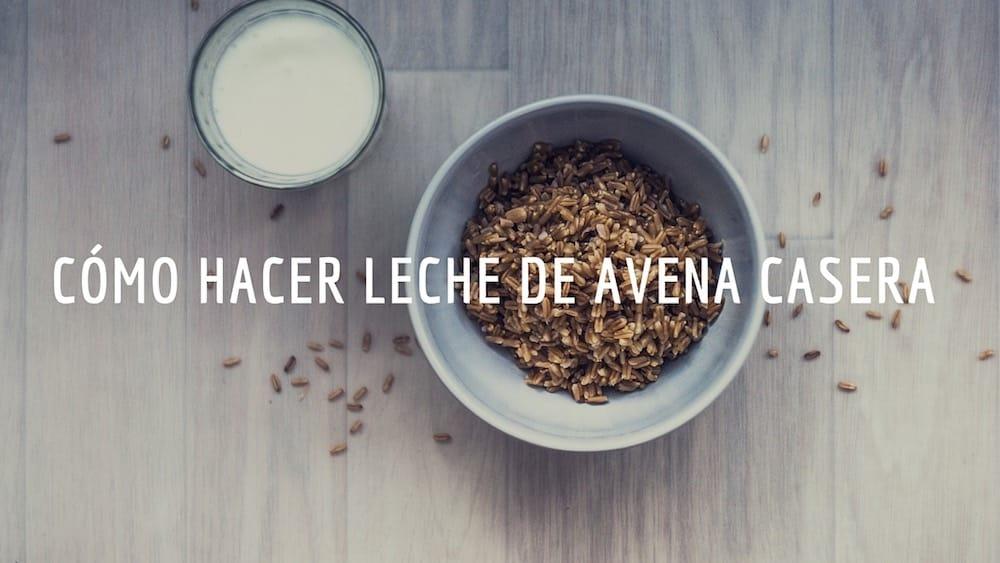 Cómo hacer leche de avena casera