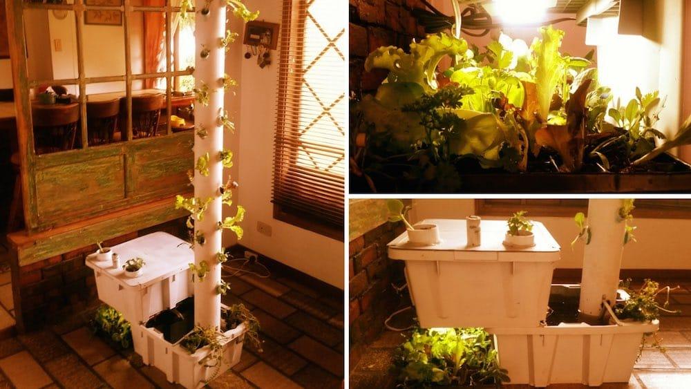 Cómo hacer un sistema casero para huerto urbano con lombricomposta incorporada