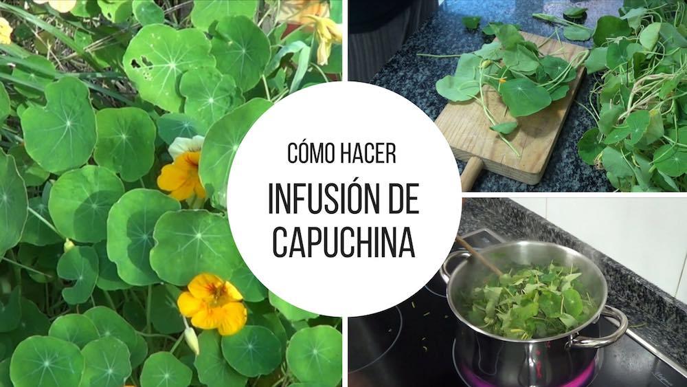 Infusión de capuchina, un fungicida súper eficaz