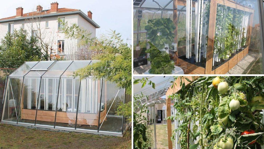 Myfood, hasta 500 kilos de alimentos al año con tu propio mini-invernadero solar acuapónico