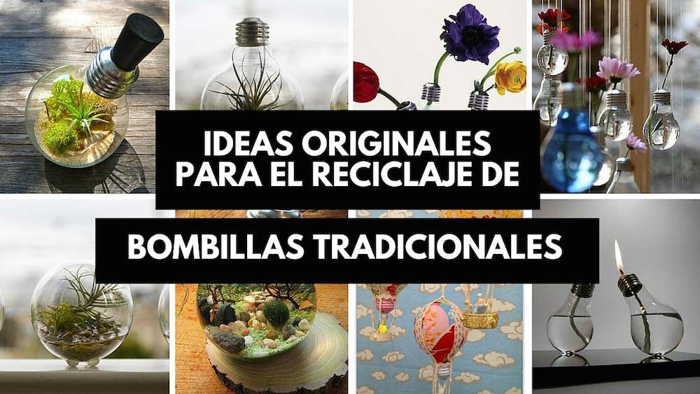 Qué hacer con las bombillas tradicionales usadas