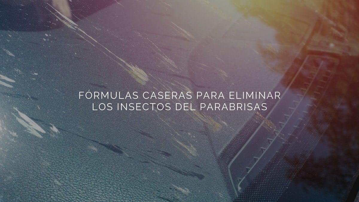 Fórmulas caseras para eliminar los insectos del parabrisas